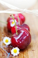 Vignola red Cherries