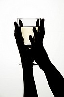 Woman´s hands holding a glass of white wine