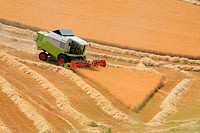 Barley Harvesting, Castilla, Spain