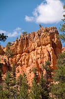 USA Utah, Red Canyon in Dixie National Forest near Zion National Park
