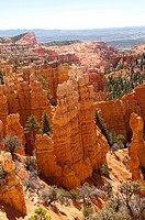 USA, Utah, striking hoodoo land forms at Fairyland view at Bryce Canyon National Park
