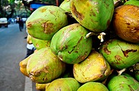 Bunch of coconut closeup,Poona,Maharashtra, India