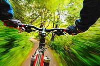 Cyclist riding along a forest path.