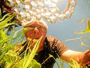 A man watches a pond viewed from underwater