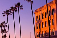 Palm Trees next to a building at sunset in La Jolla, California