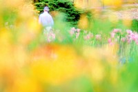 Spring flower blur in Golder´s Hill Park, Hampstead, London, England