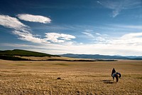 Nomad rider in the steppes of Northern Mongolia