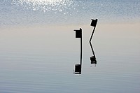 Birdboxes silhouetted in a salt marsh, Richard DeKorte Park, Lyndhurst, NJ, USA