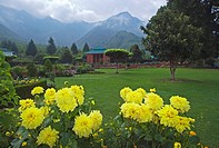 Chashma Sahi Garden at Srinagar Kashmir India