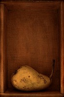 A single blemished pear in a box