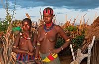 Turmi Ethiopia Africa village Lower Omo Valley Hamar Hammer tribe two nude teemager girls at sunset in village fence 23