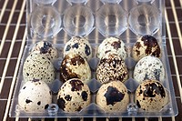Packaging with a dozen quail eggs