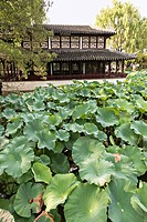 Humble Administrator´s garden in Suzhou, China