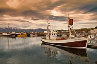 Old fishing port of Húsavik Centre of whale watching  Iceland, Europe