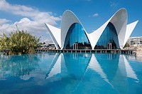 Aquarium known as Oceanografic  Located in the City of Arts and Sciences is the largest aquarium in Europe  Valencia, Spain