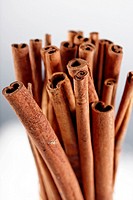 clip image - cinnamon sticks - Cinnamomum cassia