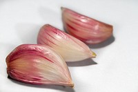 Still life, garlic