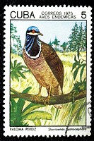 Cuban stamp.