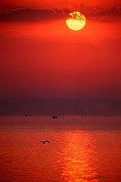 Lake Victoria; Sunrise; Fisher Boats in the morning Haze; Uganda.