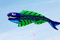 16th festival of kites, flying fish, Valencia, Spain