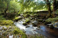 England, Cumbria, Lake District National Park. Aira Beck above Aira Force, a powerful body of water near the shores of Ullswater.