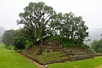 Totonaca ruins named: ""El Huajilote"", near Filobobos River, Veracruz, Mexico.