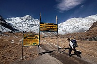 Nepali trekker reaching the Annapurna Base Camp at 4130m altitude. Nepal, Gandaki, Annapurna, Annapurna Base Camp.