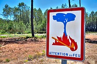 Sign on tree in forest - Prohibited fire concept.