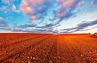 Red ploughed field landscape. Northwest of Guadalajara province. Castille La Mancha. Spain.