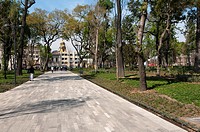 Alameda Park Mexico City.
