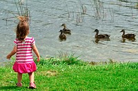 A girl looks at ducks on a lake.