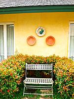 A metal bench in a garden on yellow wall background.