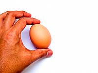 Man's hand with an egg isolated on white background.