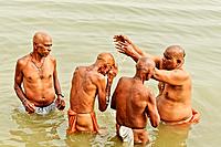 Taking holy baths on the Ghats of the ganges river, Varanasi, Benares, Uttar Pradesh, India, Asia.