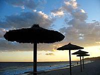 Umbrellas on the beach, Altafulla, Tarragona, Spain	1015