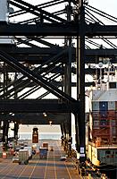 Container ship and container cranes, transferring cargo in container shipping terminal, Port of Tacoma, Washington USA.