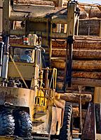 Massive log loader machine removing logs from big rig truck, to be loaded onto log ship for transport to China; Port of Port Angeles, Washington USA.