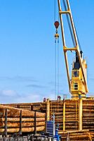 Ship mounted crane lifting logs onto log ship for transport to China; big rig truck delivering more logs; Port of Port Angeles, Washington USA.