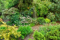 Beautiful landscaped garden with various shrubs and trees.