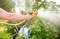 Woman watering plants with garden hose and hand held sprinkler.
