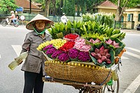 flower vendor in Hanoi, Vietnam.