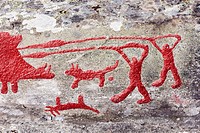 Rock engraving at Himmelstalund one of Sweden's biggest collection of petroglyphs with more than 1660 pictures. Bronze age 1800-500 B.C.