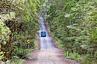 Van on the road at the New England National Park, New South Wales, Australia