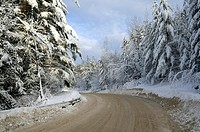 Dirt road leading between snow covered trees, Stowe, Vermont, USA.