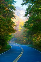 Winding road through autumn trees, Stowe Vermont, USA.