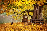 Autumn scene in Hannover Münden Germany.