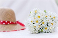 Daisies and hat.
