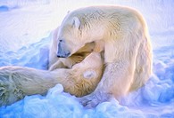 Polar bear nursing cubs, oil painting effect, digital art