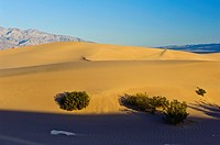 Mesquite Flat Sand Dunes.