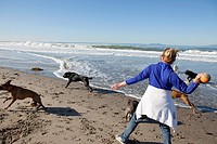 Woman aged 50+ plays ball with dogs on beach in Oxnard, California.
